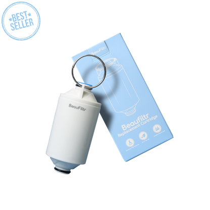 BeauFiltr Replacement Cartridge