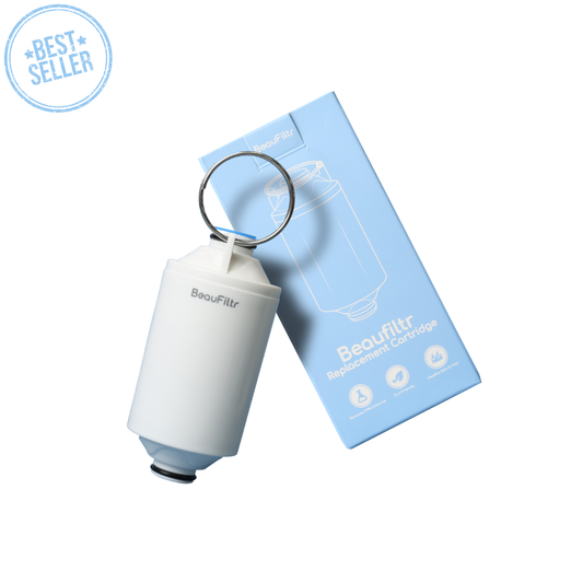 BeauFiltr Replacement Cartridge